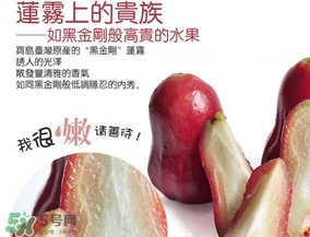 黑金剛蓮霧好吃嗎？黑金剛蓮霧多少錢一斤2017？