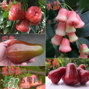 蓮霧什么季節(jié)吃最好？什么品種的蓮霧最好吃
