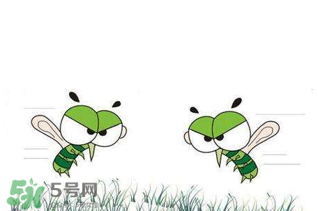 招蚊子是什么原因？招蚊子體質(zhì)怎么辦？