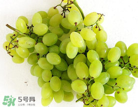 青提什么時(shí)候成熟？青提什么時(shí)候上市？