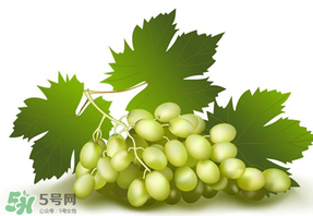 青提不能和什么一起吃？青提哪些人不能吃？