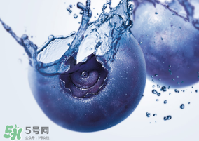 藍莓熱量高嗎？藍莓醬熱量高嗎？