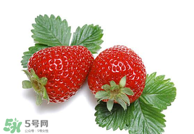 夏天有草莓嗎？夏天草莓結(jié)果嗎？
