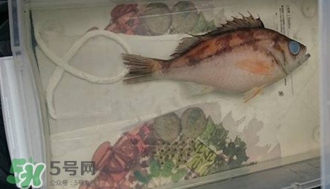 福爾馬林是什么？福爾馬林是甲醛嗎