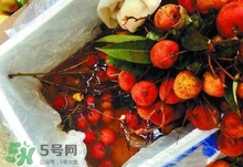 荔枝為什么要用藥水泡？荔枝藥水浸泡是否安全？