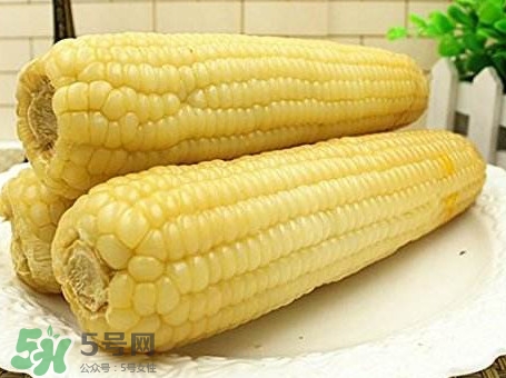 糯玉米怎么保存時(shí)間長(zhǎng)？新鮮的糯玉米如何保存