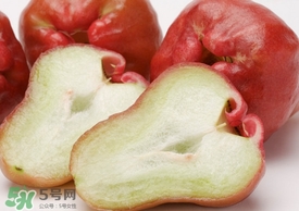 蓮霧什么季節(jié)成熟？蓮霧什么時候成熟