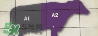 A2奶粉斷貨用什么奶代替最合適？與A2奶粉相近的奶是什么