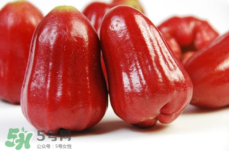 黑珍珠蓮霧多少錢一斤2017？黑珍珠蓮霧產(chǎn)地是哪里