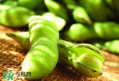 六月份可以種毛豆嗎？六月份毛豆怎么種植？