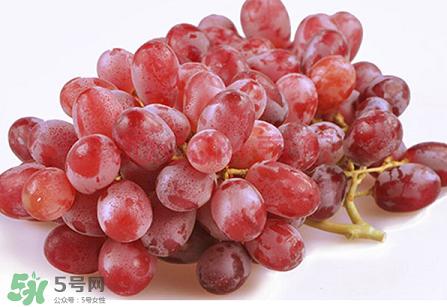 提子為什么會澀？提子澀怎么辦是沒熟嗎？