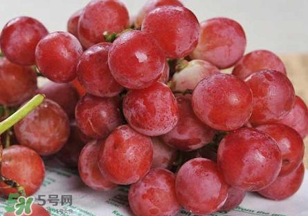 提子為什么會澀？提子澀怎么辦是沒熟嗎？