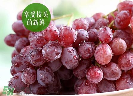 提子為什么會澀？提子澀怎么辦是沒熟嗎？