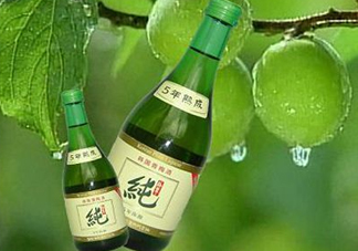 青梅酒泡多久可以喝？青梅酒好喝嗎？
