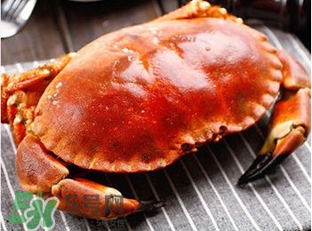 面包蟹是哪里產的？面包蟹哪里不能吃圖解
