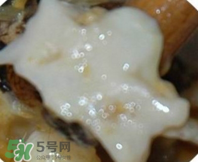 面包蟹是哪里產的？面包蟹哪里不能吃圖解
