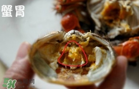 面包蟹是哪里產的？面包蟹哪里不能吃圖解