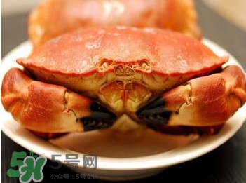 熟凍面包蟹怎么解凍？熟凍面包蟹要怎么清洗