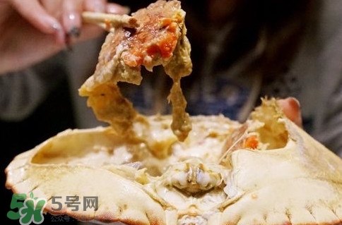 面包蟹什么季節(jié)吃最好？面包蟹什么時(shí)候最有黃