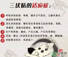 三伏貼能治什么?。咳N能治哪些?。?></p><h3 style=