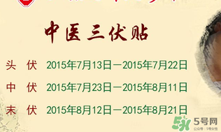 三伏貼能治什么病？三伏貼能治哪些??？