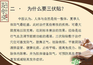 三伏貼能治什么??？三伏貼能治哪些病？