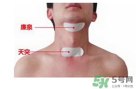 三伏貼貼在什么位置？三伏貼貼哪里？