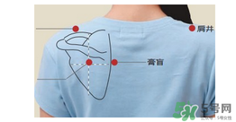 三伏貼貼在什么位置？三伏貼貼哪里？