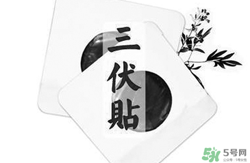貼三伏貼注意事項 貼三伏貼要注意什么？