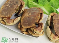 面包蟹為什么叫面包蟹？面包蟹為什么都是母蟹