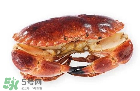怎么判斷面包蟹是否新鮮？怎樣鑒別面包蟹的質(zhì)量好壞