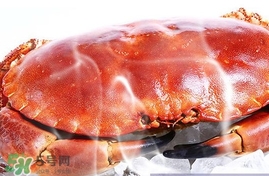速凍面包蟹如何處理？活面包蟹怎么處理清洗