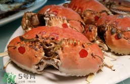 面包蟹什么季節(jié)吃最好？面包蟹什么時(shí)候最有黃