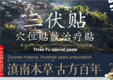 三伏貼貼在什么位置？三伏貼貼哪里？