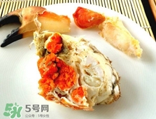 面包蟹是黃道蟹嗎？黃道蟹和面包蟹一樣嗎