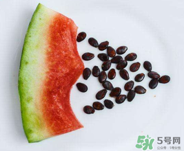 西瓜籽怎么種植？西瓜籽能種出西瓜嗎？