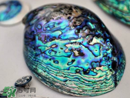 nike air foamposite one abalone鮑魚(yú)噴多少錢(qián)？