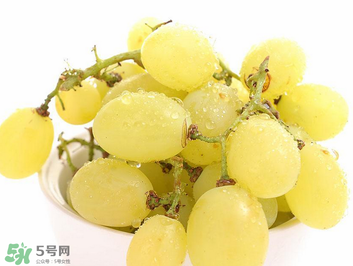 馬奶葡萄什么時候上市？馬奶葡萄2017上市時間