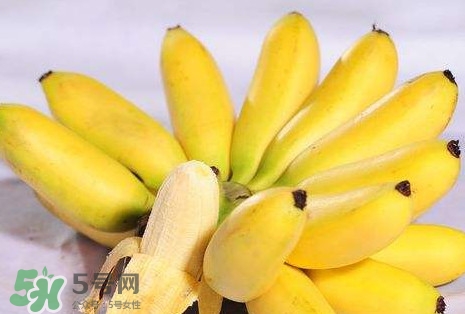 芭蕉和香蕉哪個(gè)貴？芭蕉和香蕉哪個(gè)好