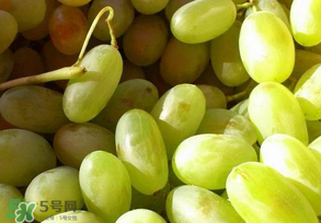 馬奶葡萄怎么保存？馬奶葡萄保存方法