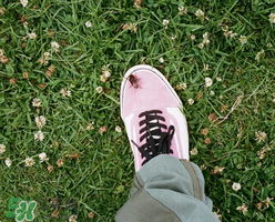 stussy與vans2017春夏系列聯(lián)名鞋子什么時候發(fā)售？
