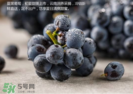 無(wú)籽葡萄孕婦能不能吃？無(wú)籽葡萄和葡萄的區(qū)別