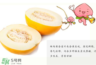 黃金瓜熱量高嗎？黃金瓜會(huì)胖嗎？