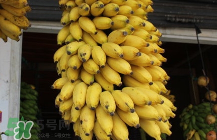 芭蕉不熟可以吃嗎？芭蕉怎么催熟