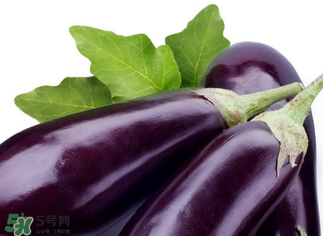 茄子怎么挑選？如何挑選茄子？