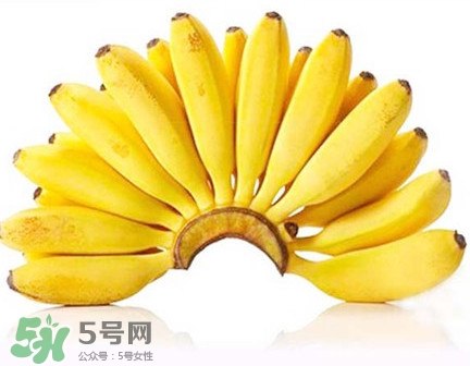 芭蕉是香蕉嗎？芭蕉和香蕉的區(qū)別