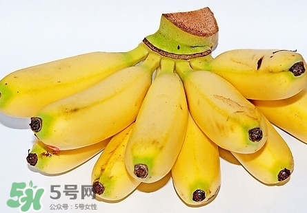 芭蕉熱量高嗎？芭蕉可以減肥嗎