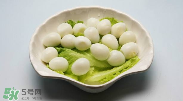 鵪鶉蛋和雞蛋哪個營養(yǎng)價值高？鵪鶉蛋怎么選購？