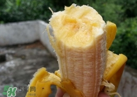 芭蕉是熱性還是涼性？芭蕉是熱性還是寒性？