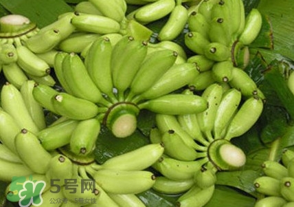 芭蕉如何保存時間久？青芭蕉摘下來怎么保存